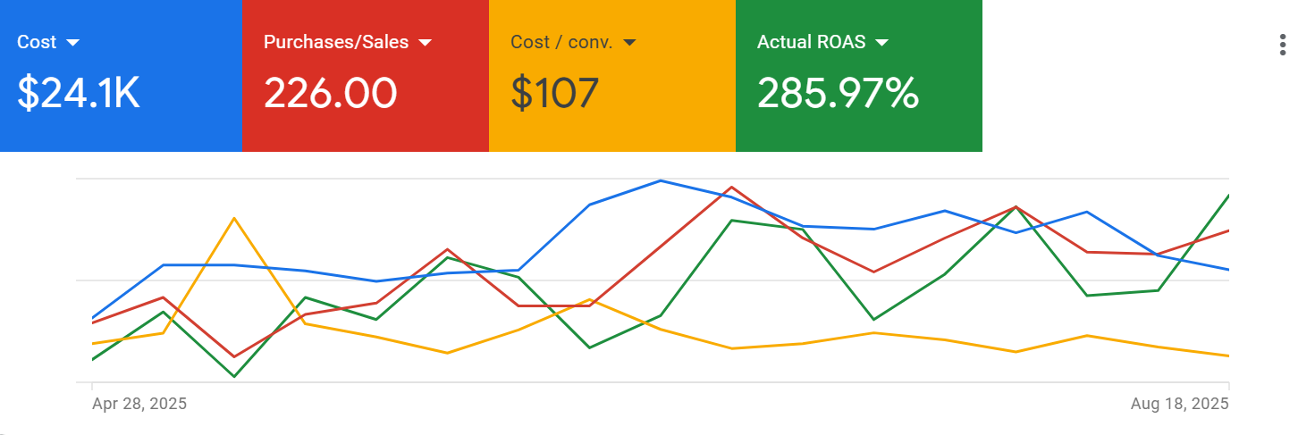 Google Ads Rezultat 3